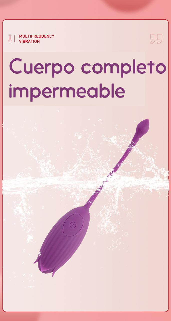 Vibrador inalámbrico Private Massager